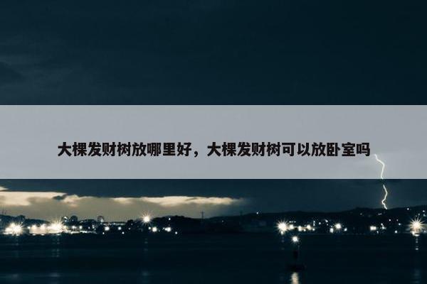 大棵发财树放哪里好，大棵发财树可以放卧室吗