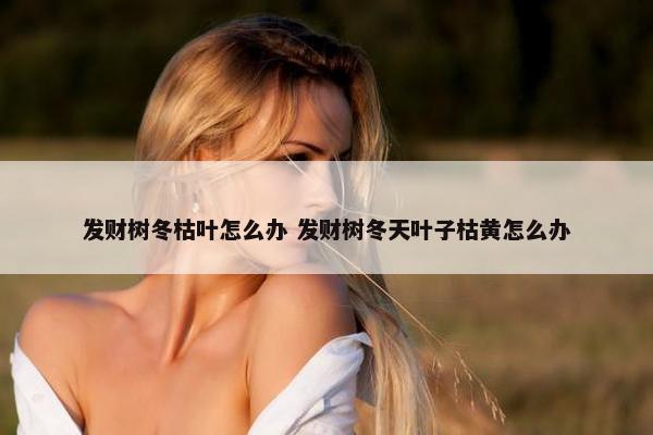 发财树冬枯叶怎么办 发财树冬天叶子枯黄怎么办