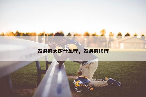 发财树大树什么样，发财树啥样