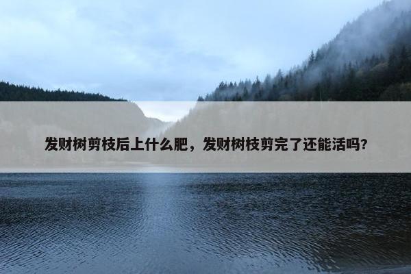 发财树剪枝后上什么肥，发财树枝剪完了还能活吗?