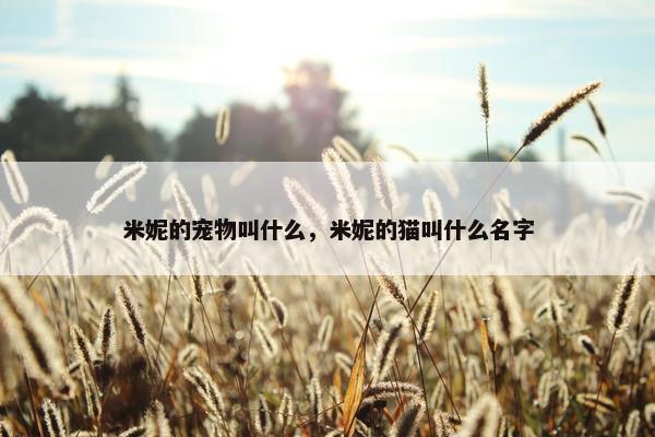 米妮的宠物叫什么，米妮的猫叫什么名字