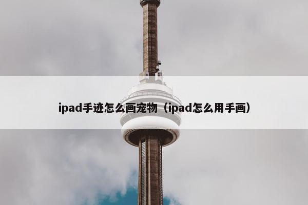 ipad手迹怎么画宠物（ipad怎么用手画）