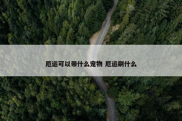 厄运可以带什么宠物 厄运刷什么