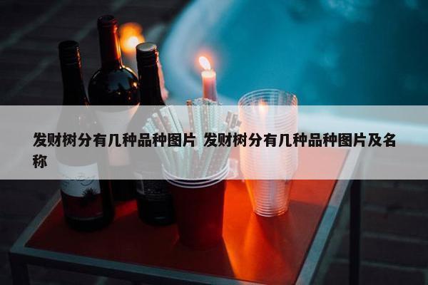 发财树分有几种品种图片 发财树分有几种品种图片及名称