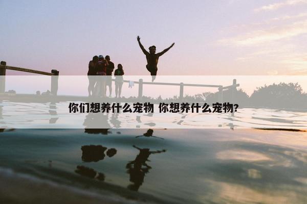 你们想养什么宠物 你想养什么宠物?