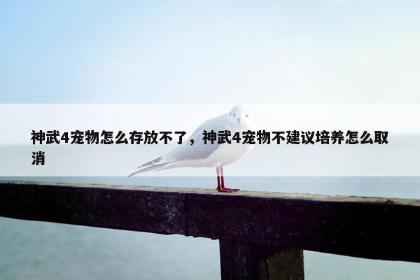 神武4宠物怎么存放不了，神武4宠物不建议培养怎么取消