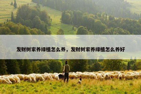 发财树家养绿植怎么养，发财树家养绿植怎么养好