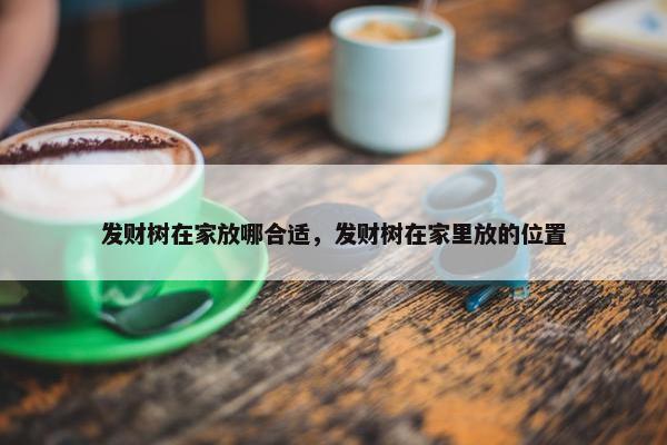 发财树在家放哪合适，发财树在家里放的位置