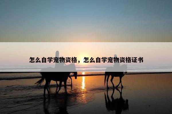 怎么自学宠物资格，怎么自学宠物资格证书