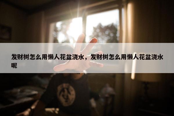 发财树怎么用懒人花盆浇水，发财树怎么用懒人花盆浇水呢