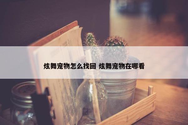 炫舞宠物怎么找回 炫舞宠物在哪看