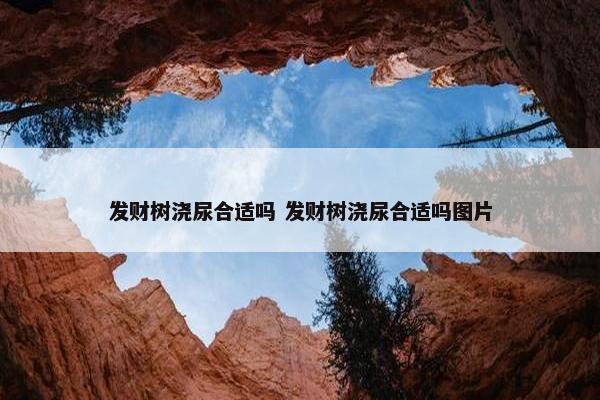 发财树浇尿合适吗 发财树浇尿合适吗图片