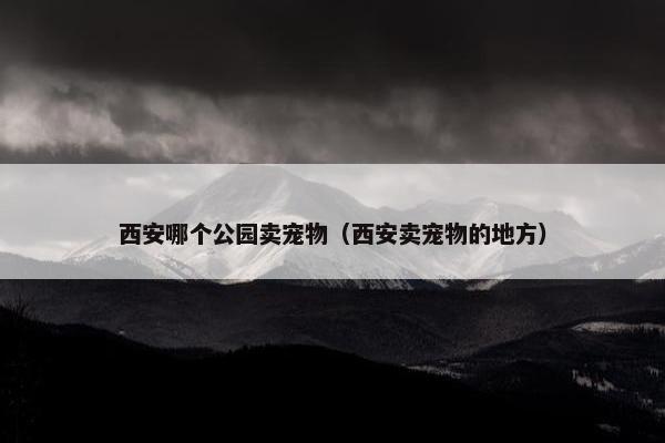 西安哪个公园卖宠物（西安卖宠物的地方）