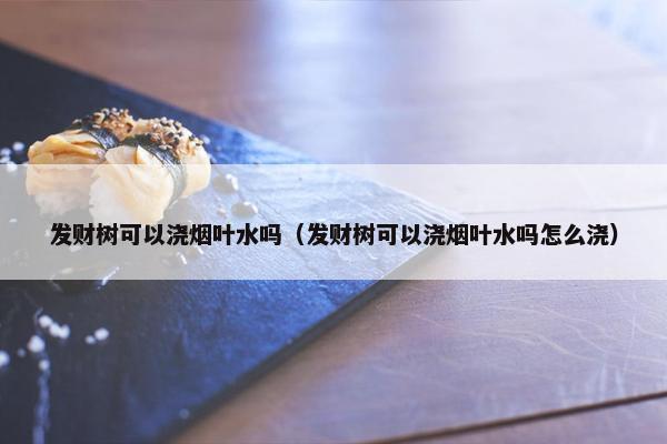 发财树可以浇烟叶水吗（发财树可以浇烟叶水吗怎么浇）