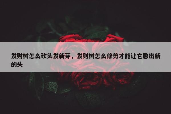 发财树怎么砍头发新芽，发财树怎么修剪才能让它憋出新的头