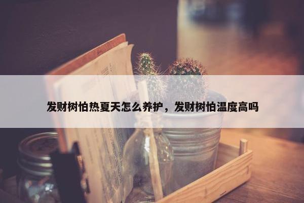 发财树怕热夏天怎么养护，发财树怕温度高吗