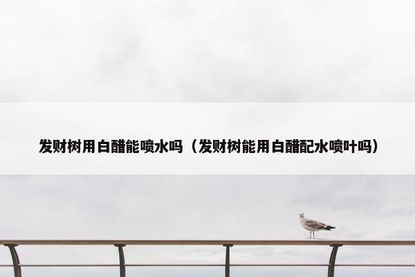 发财树用白醋能喷水吗（发财树能用白醋配水喷叶吗）