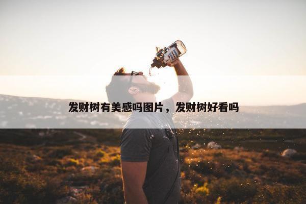 发财树有美感吗图片，发财树好看吗