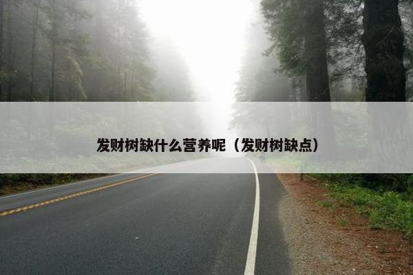 发财树缺什么营养呢（发财树缺点）