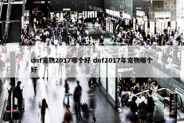 dnf宠物2017哪个好 dnf2017年宠物哪个好