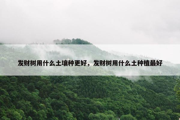 发财树用什么土壤种更好，发财树用什么土种植最好