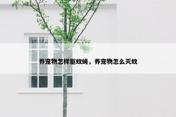 养宠物怎样驱蚊蝇，养宠物怎么灭蚊