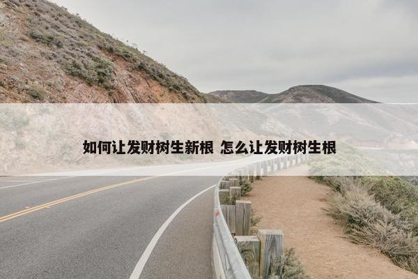 如何让发财树生新根 怎么让发财树生根