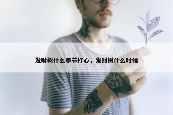 发财树什么季节打心，发财树什么时候