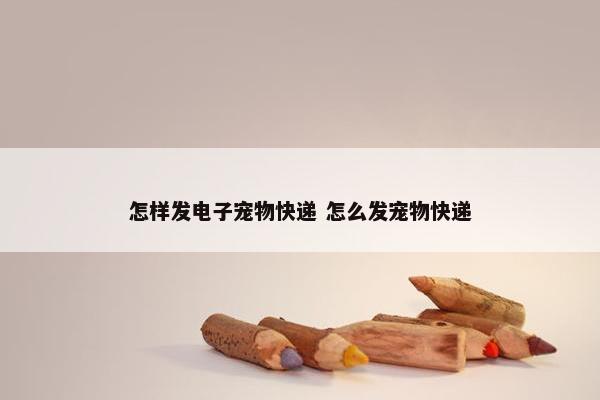 怎样发电子宠物快递 怎么发宠物快递