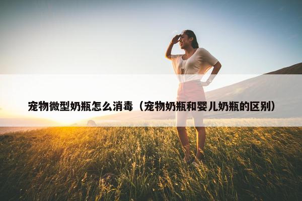 宠物微型奶瓶怎么消毒（宠物奶瓶和婴儿奶瓶的区别）