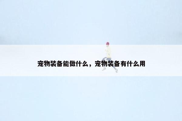 宠物装备能做什么，宠物装备有什么用