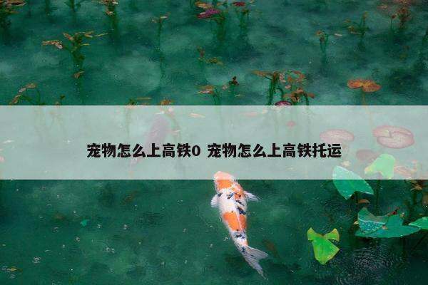 宠物怎么上高铁0 宠物怎么上高铁托运