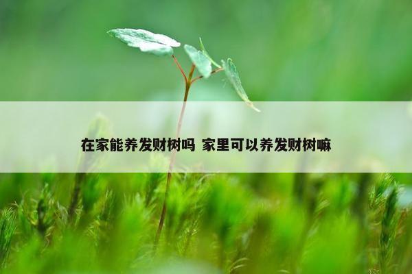 在家能养发财树吗 家里可以养发财树嘛