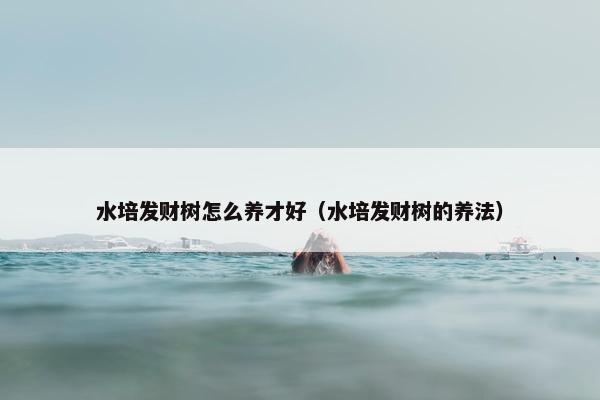 水培发财树怎么养才好（水培发财树的养法）