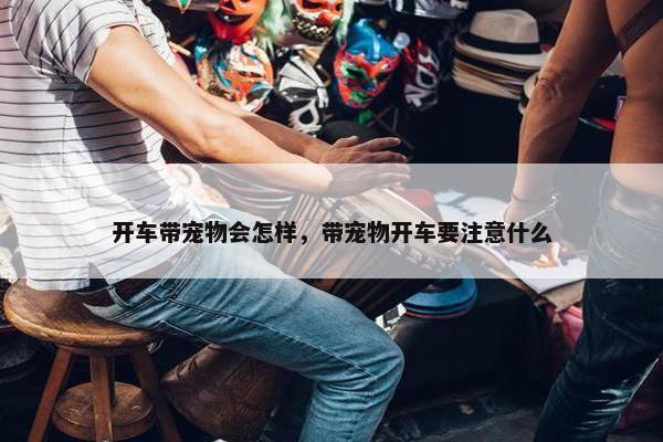 开车带宠物会怎样，带宠物开车要注意什么