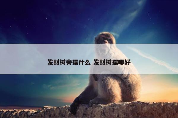 发财树旁摆什么 发财树摆哪好