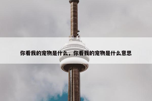 你看我的宠物是什么，你看我的宠物是什么意思