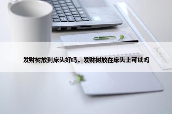 发财树放到床头好吗，发财树放在床头上可以吗