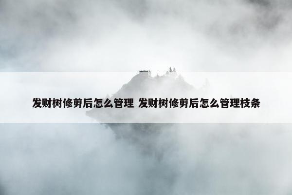 发财树修剪后怎么管理 发财树修剪后怎么管理枝条