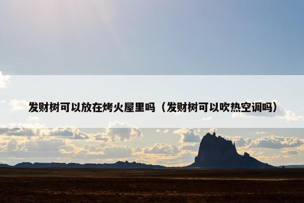 发财树可以放在烤火屋里吗（发财树可以吹热空调吗）