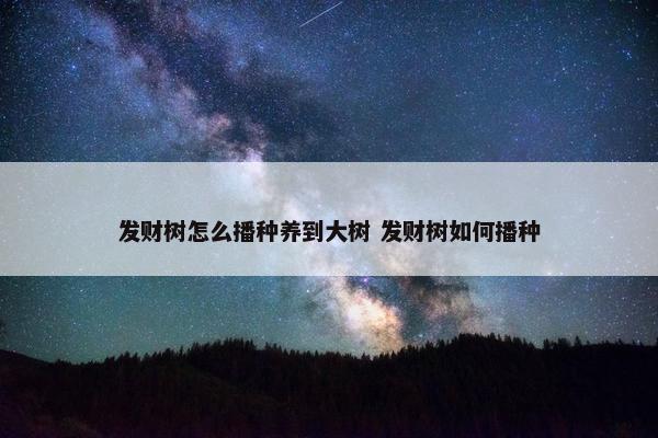 发财树怎么播种养到大树 发财树如何播种