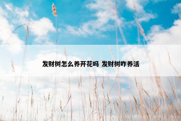 发财树怎么养开花吗 发财树咋养活