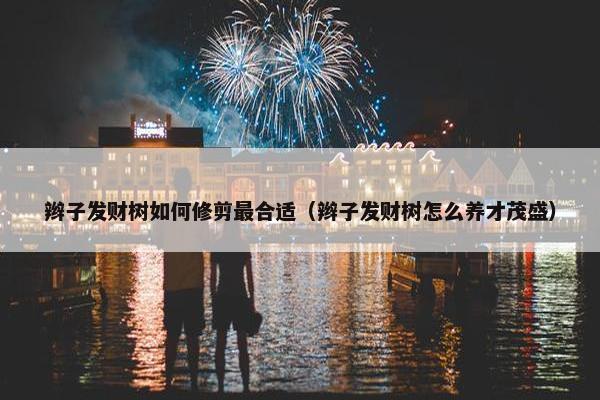 辫子发财树如何修剪最合适（辫子发财树怎么养才茂盛）