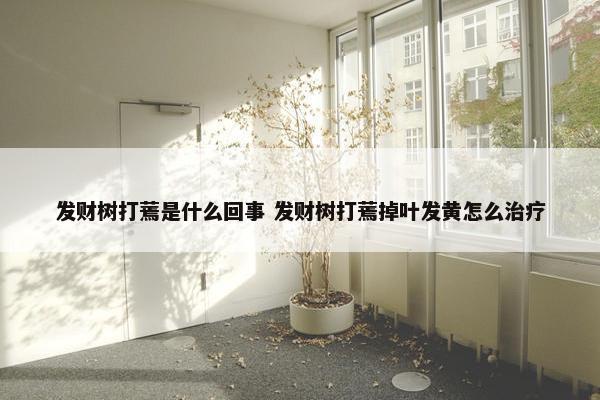 发财树打蔫是什么回事 发财树打蔫掉叶发黄怎么治疗