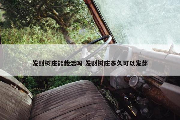 发财树庄能栽活吗 发财树庄多久可以发芽