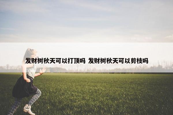 发财树秋天可以打顶吗 发财树秋天可以剪枝吗