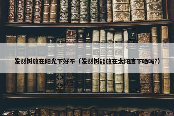 发财树放在阳光下好不（发财树能放在太阳底下晒吗?）