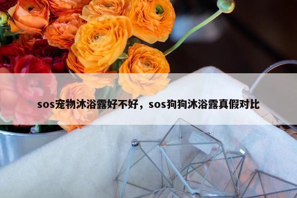 sos宠物沐浴露好不好，sos狗狗沐浴露真假对比