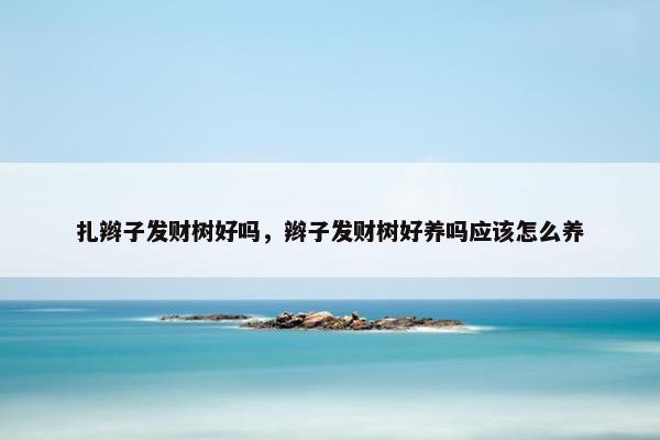 扎辫子发财树好吗，辫子发财树好养吗应该怎么养