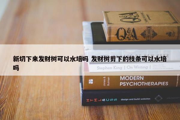 新切下来发财树可以水培吗 发财树剪下的枝条可以水培吗